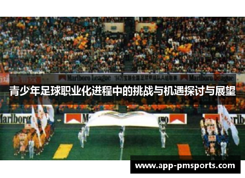 青少年足球职业化进程中的挑战与机遇探讨与展望