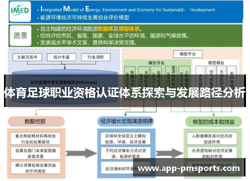 体育足球职业资格认证体系探索与发展路径分析