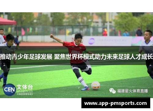 推动青少年足球发展 聚焦世界杯模式助力未来足球人才成长