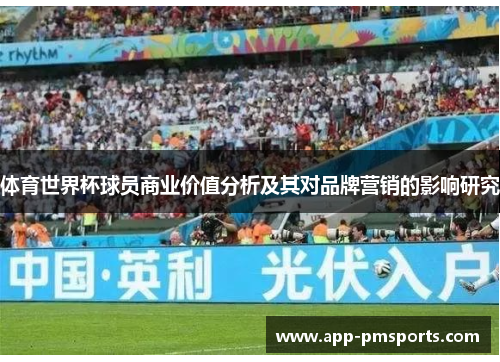 体育世界杯球员商业价值分析及其对品牌营销的影响研究