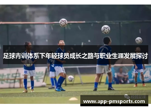 足球青训体系下年轻球员成长之路与职业生涯发展探讨