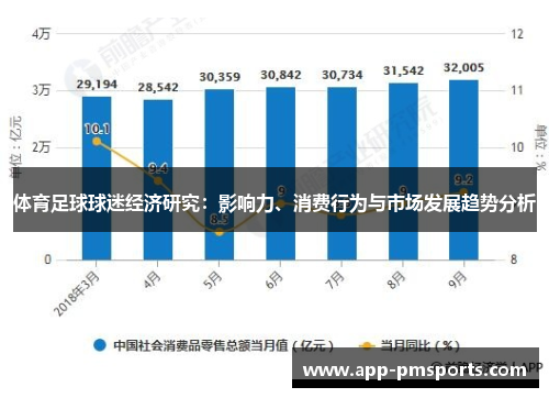 体育足球球迷经济研究：影响力、消费行为与市场发展趋势分析