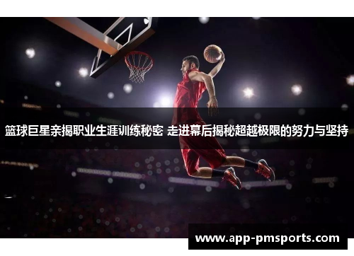 篮球巨星亲揭职业生涯训练秘密 走进幕后揭秘超越极限的努力与坚持