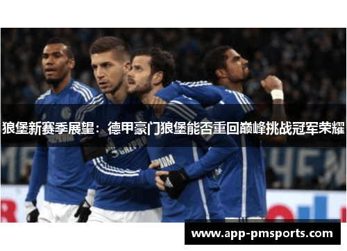 狼堡新赛季展望：德甲豪门狼堡能否重回巅峰挑战冠军荣耀