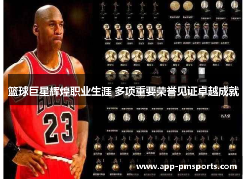 篮球巨星辉煌职业生涯 多项重要荣誉见证卓越成就
