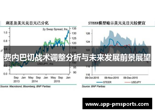 费内巴切战术调整分析与未来发展前景展望