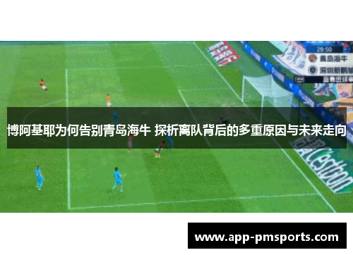 博阿基耶为何告别青岛海牛 探析离队背后的多重原因与未来走向
