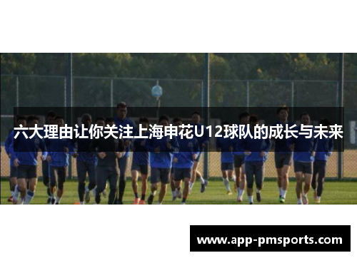 六大理由让你关注上海申花U12球队的成长与未来