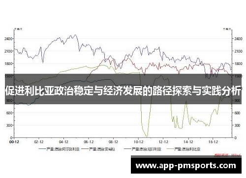 促进利比亚政治稳定与经济发展的路径探索与实践分析