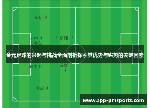 金元足球的兴起与挑战全面剖析探索其优势与劣势的关键因素